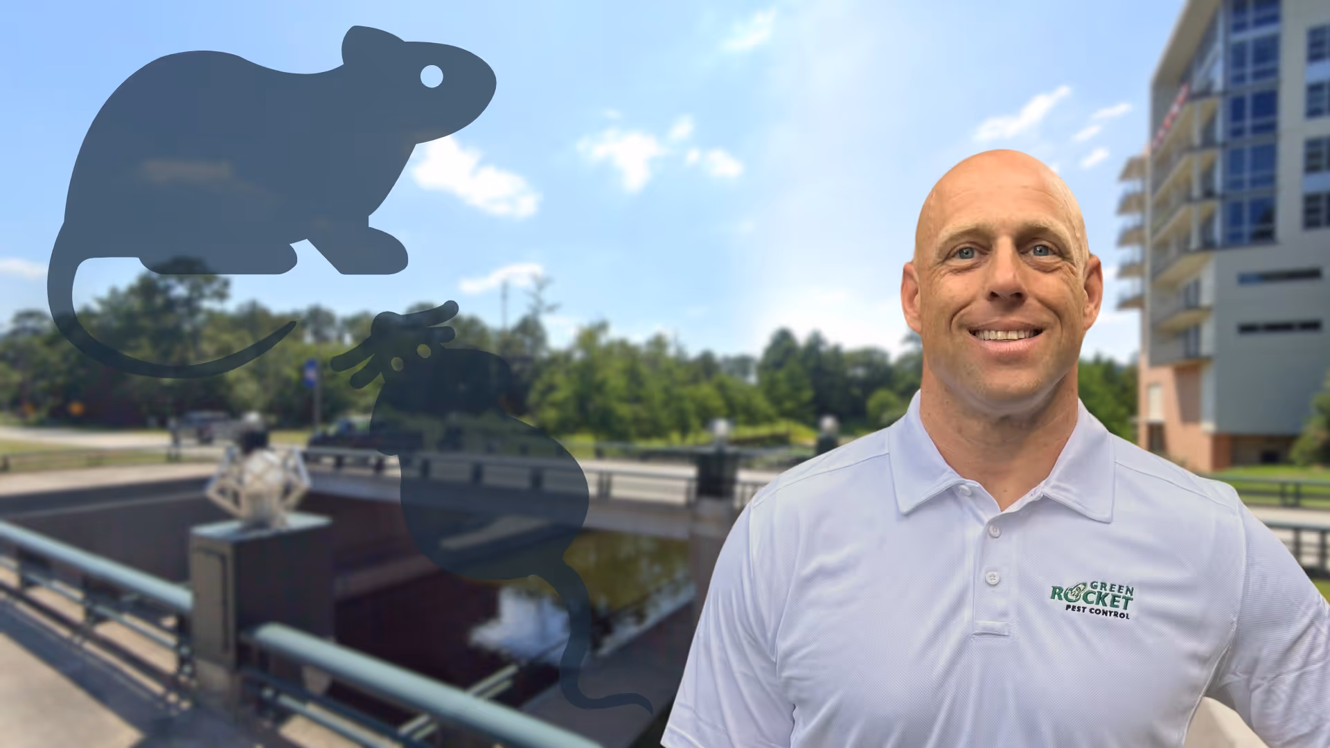 Rodent Control Exterminator The Woodlands