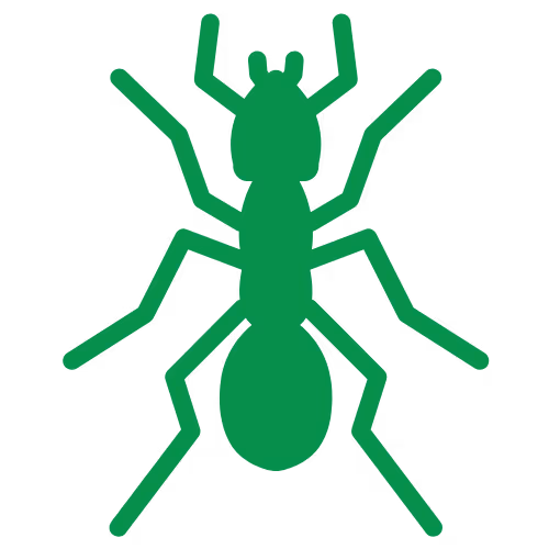 Ant Icon