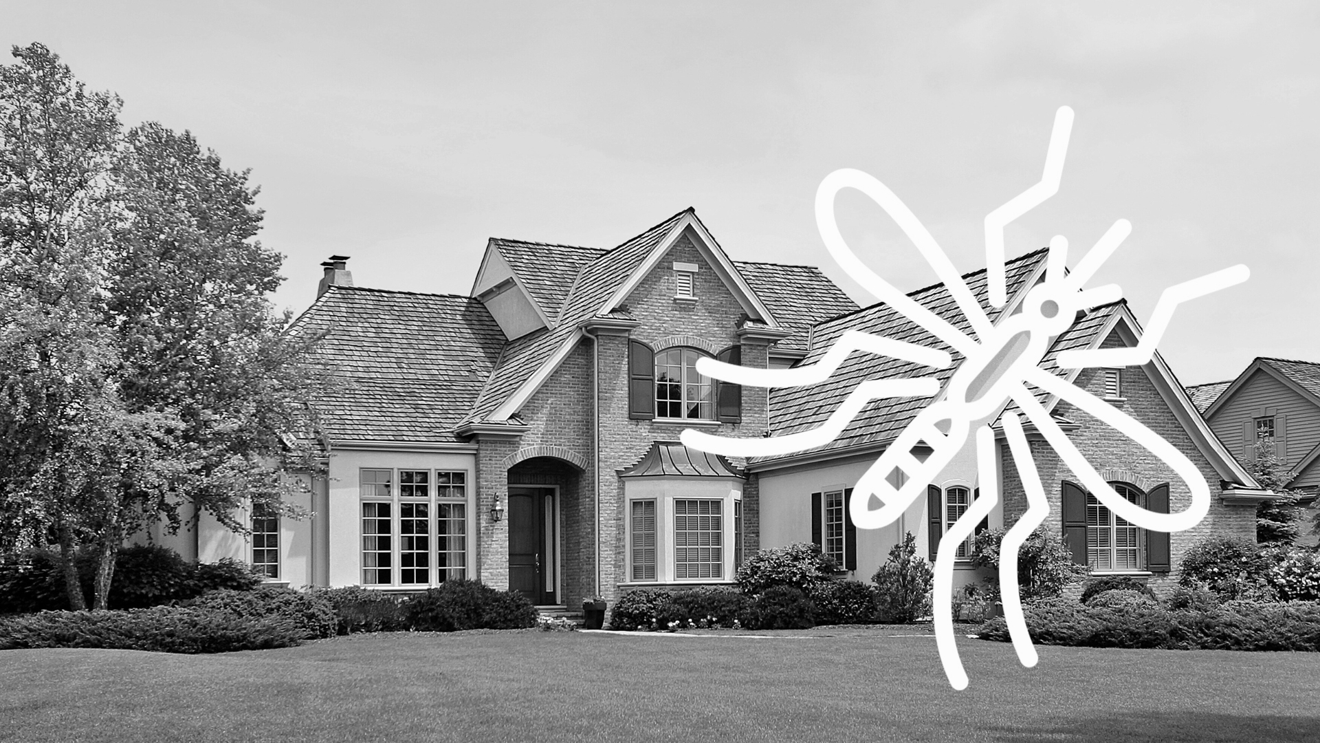 Mosquito Control