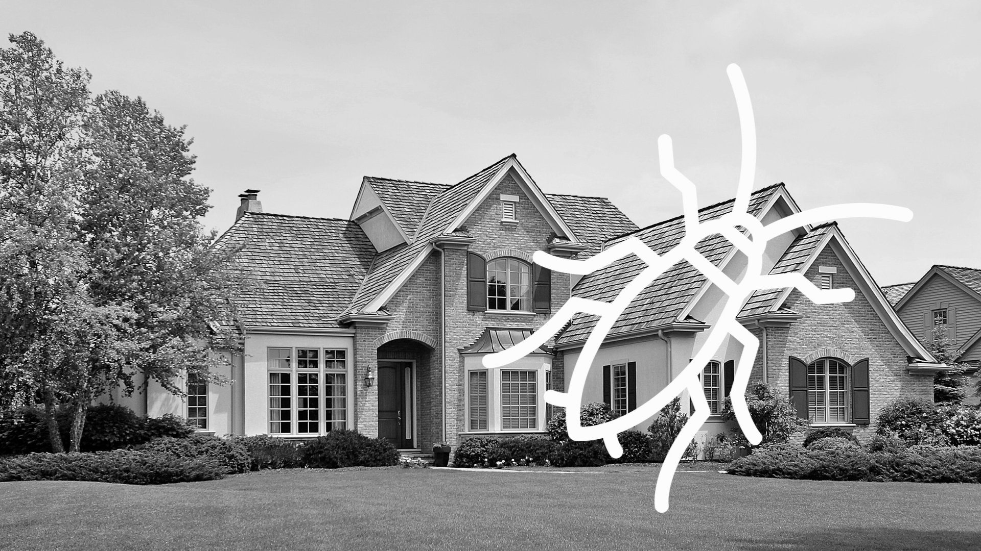 Cockroach Control
