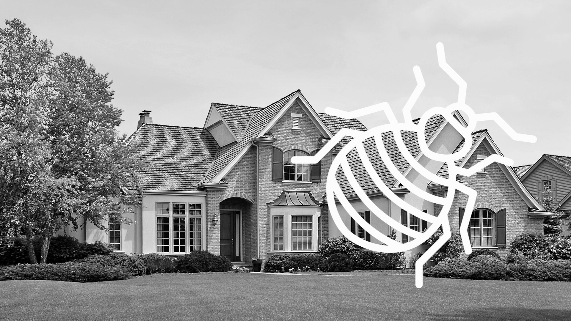 Bed Bug Control