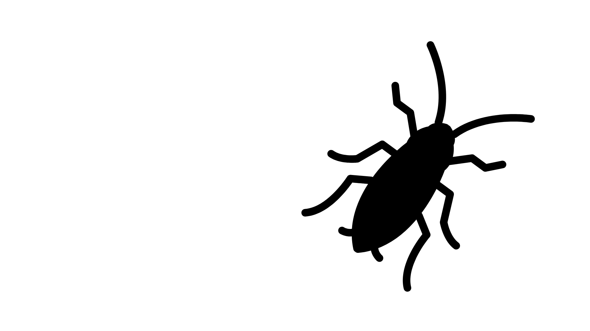 German Roach Prep