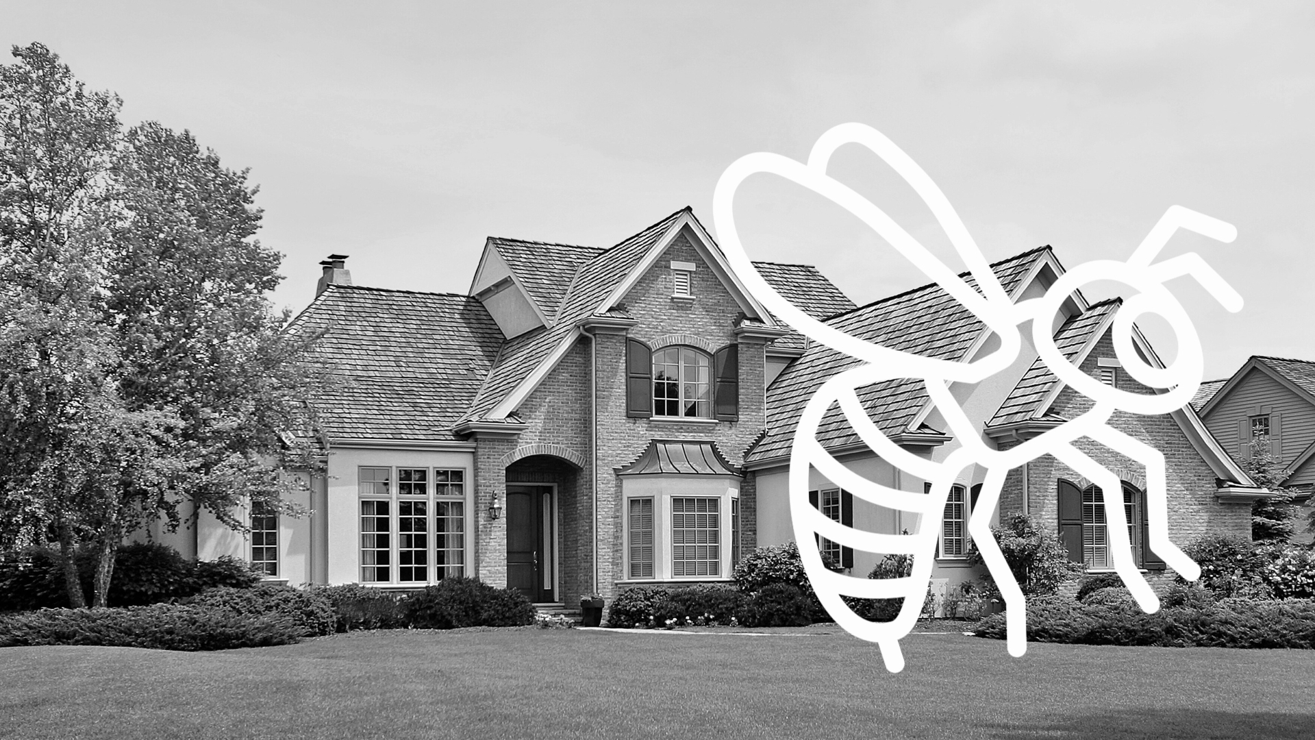 Stinging Insect Control