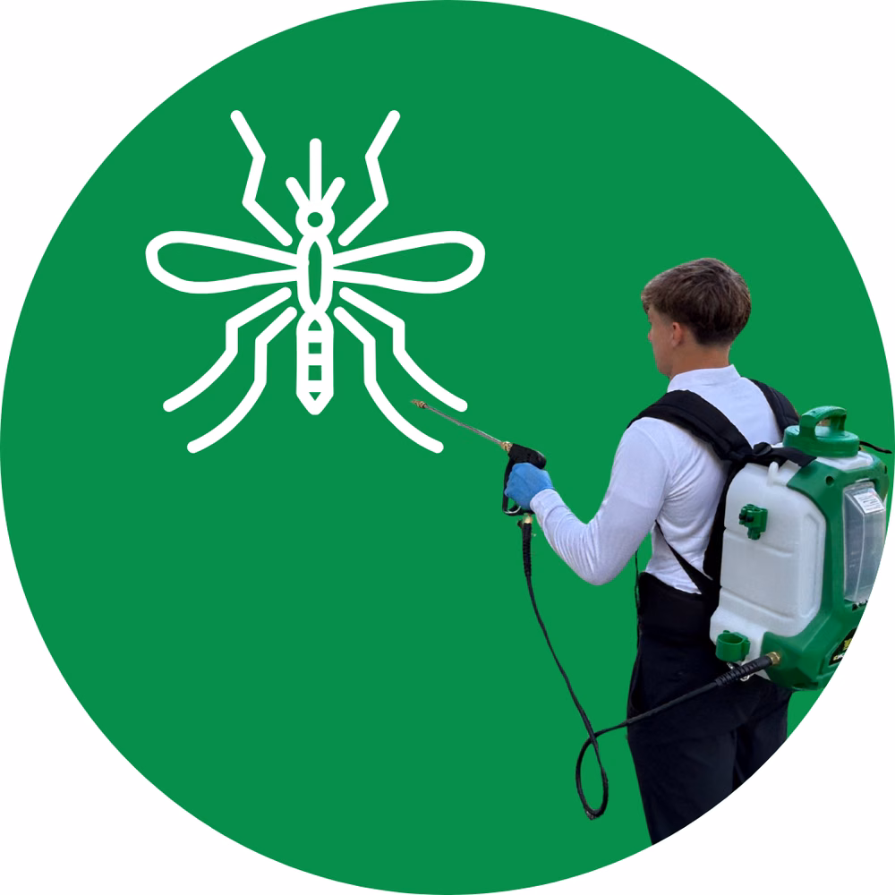 Mosquito Control Services