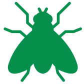 Small Fly Icon