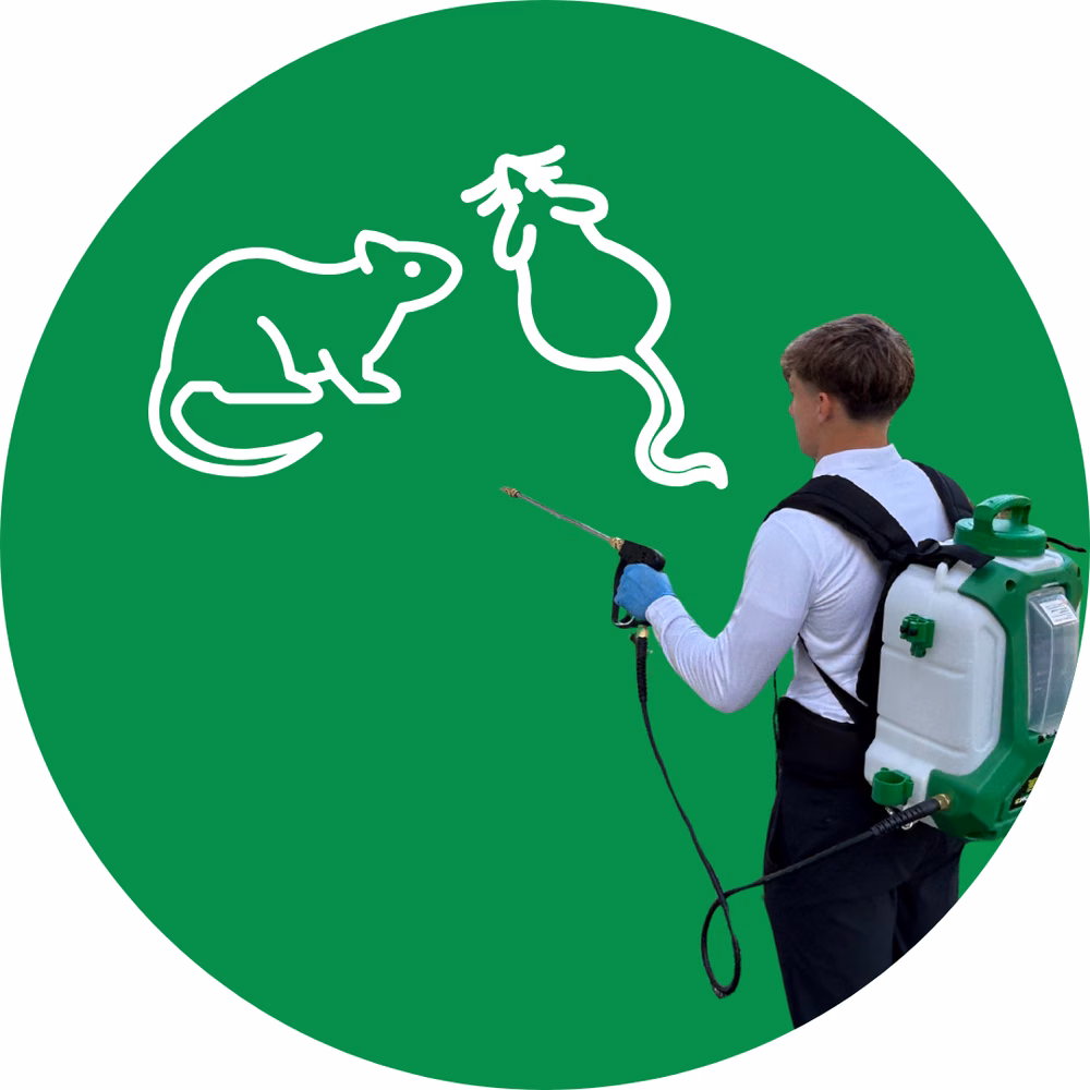 Rodent Control Services