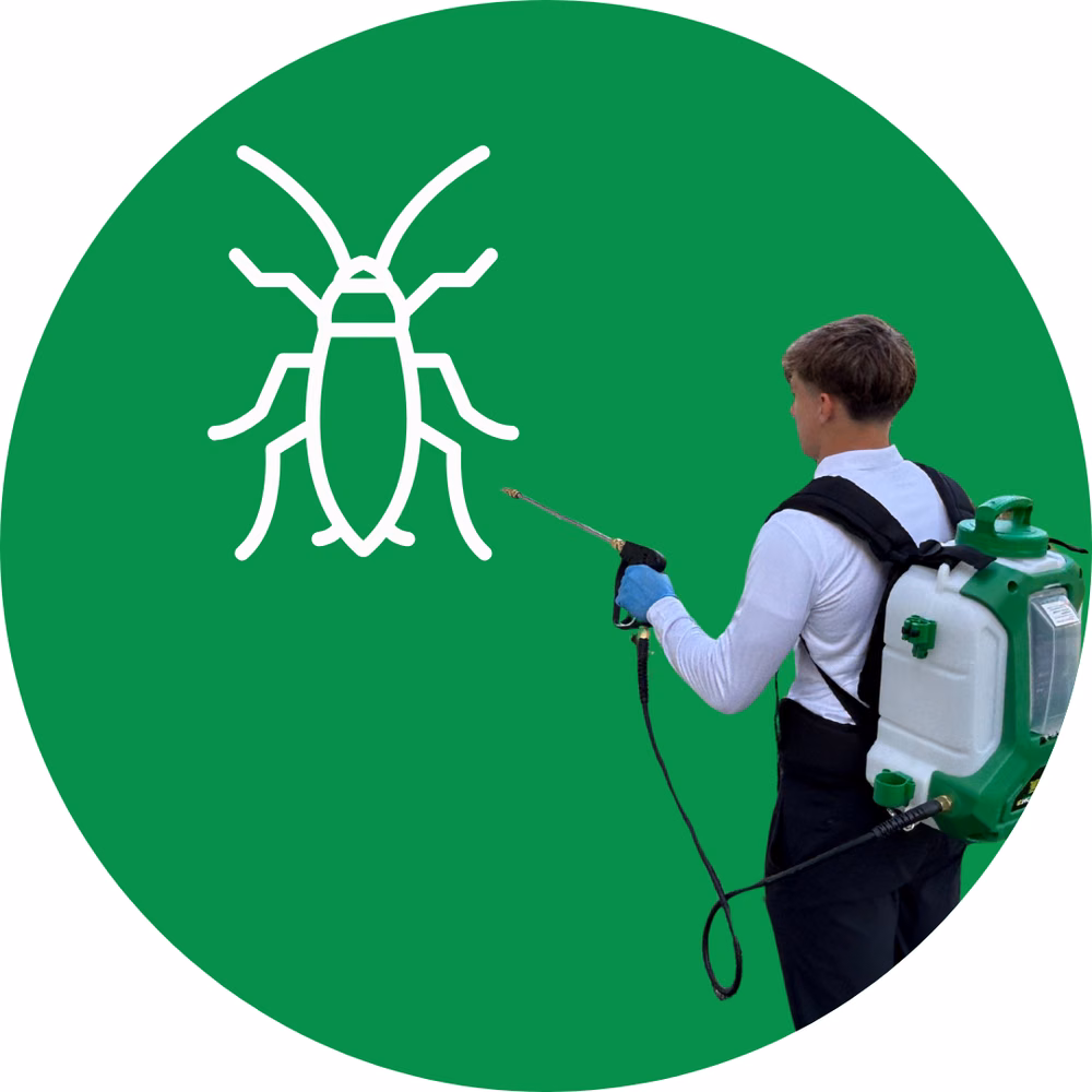 Cockroach Control Services