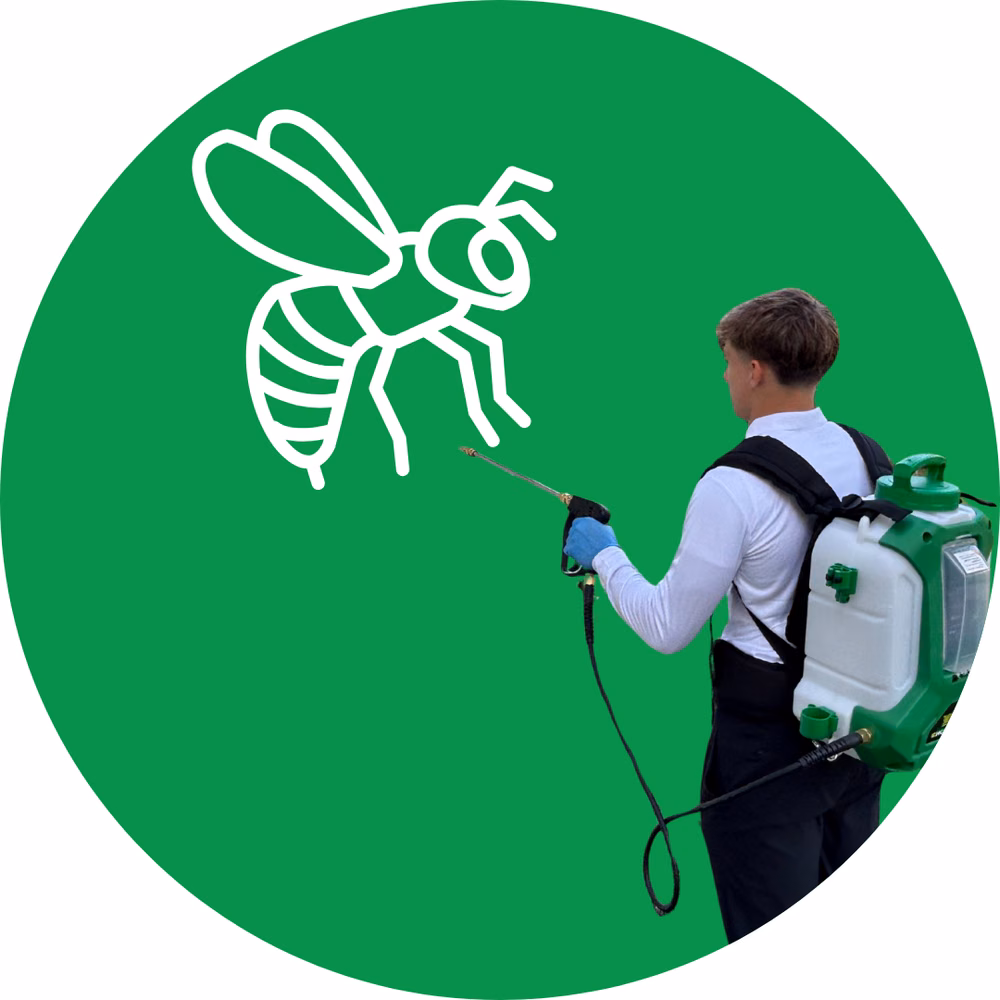 Stinging Insect Control Services