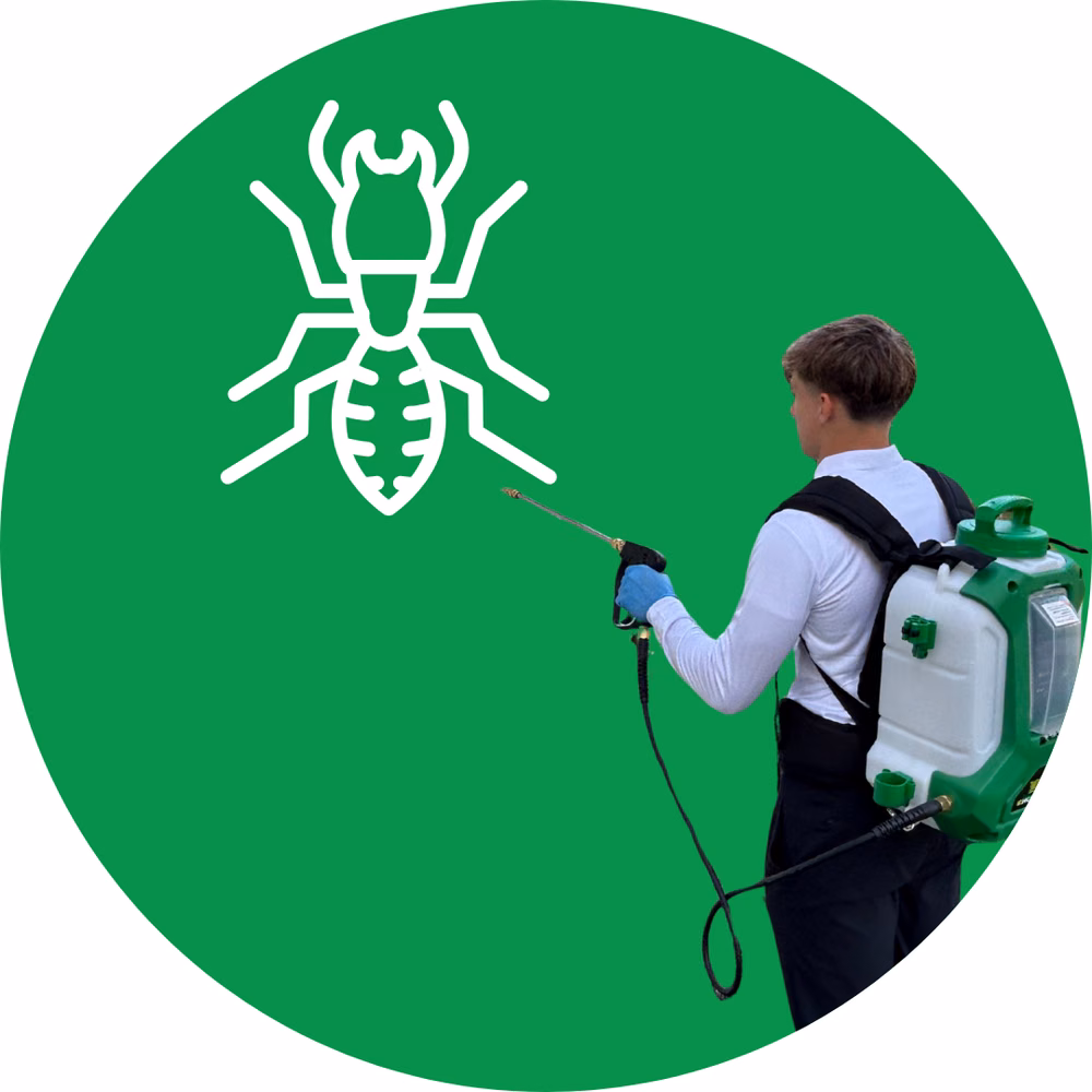 Termite Control