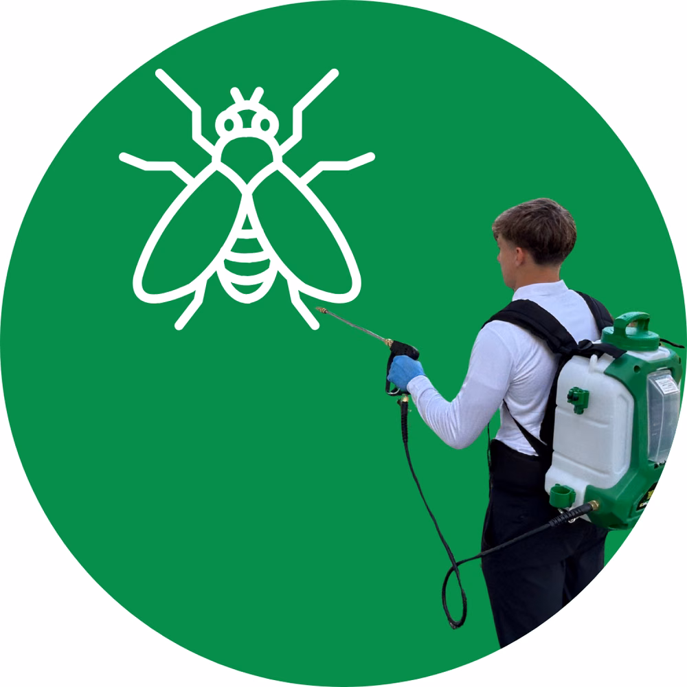 Fly Control