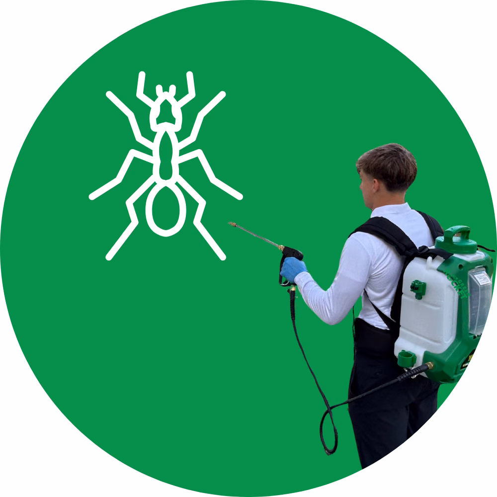 Ant Exterminator